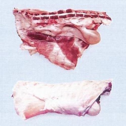 Riñonada de lechazo para recetas tradicionales Riñonada de lechazo para recetas tradicionales