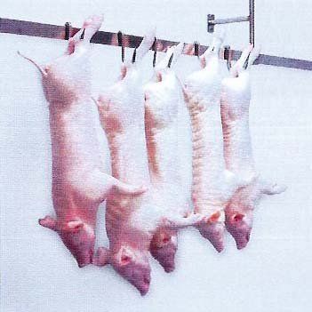 Cochinillo lechal entero listo para cocinar