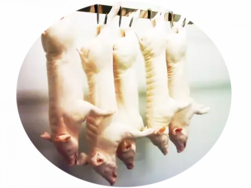 cochinillo carnicas minguez aranda